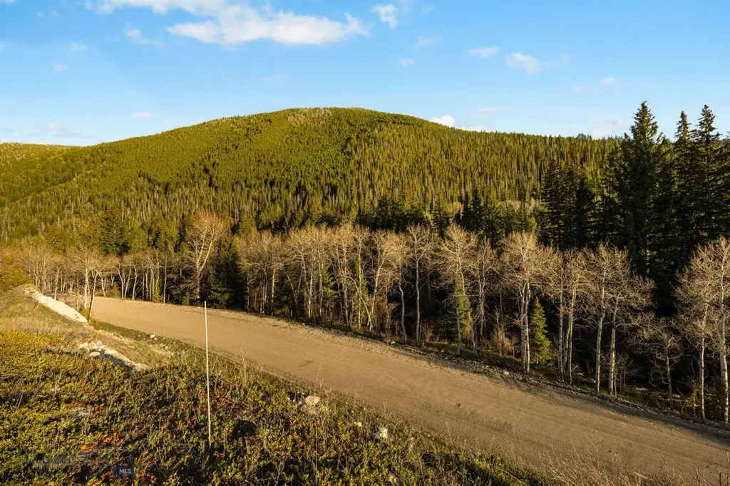 Nhn Lime Spur Road Anaconda MT 59711