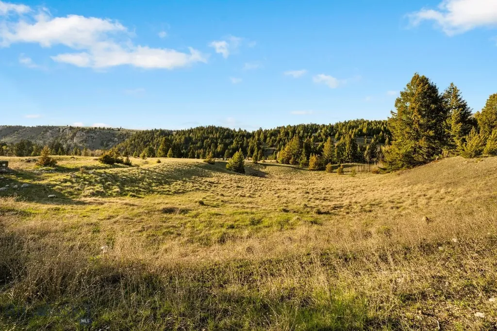 1470 Lime Spur Rd & 44 Two Meadows Drive Anaconda MT 59711