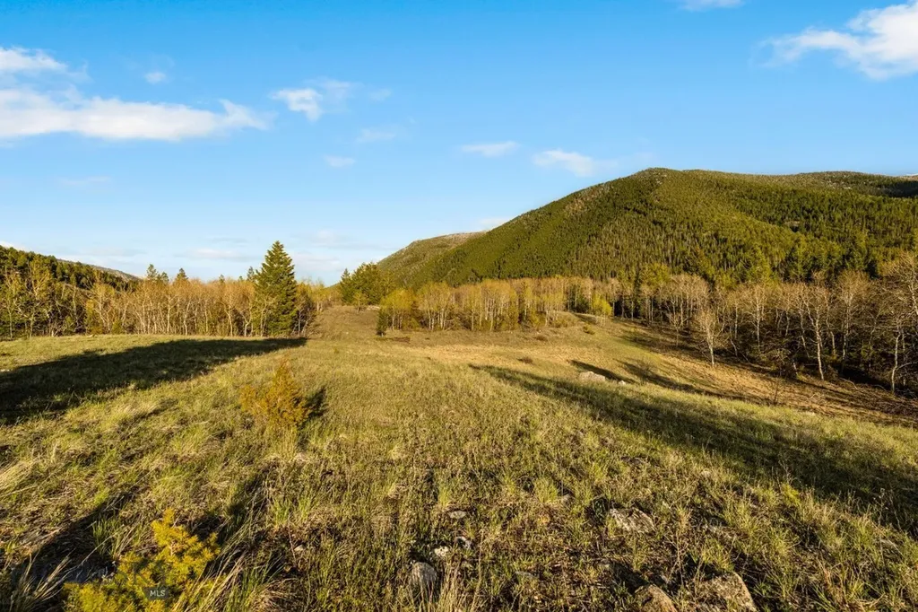 1470 Lime Spur Rd & 44 Two Meadows Drive Anaconda MT 59711