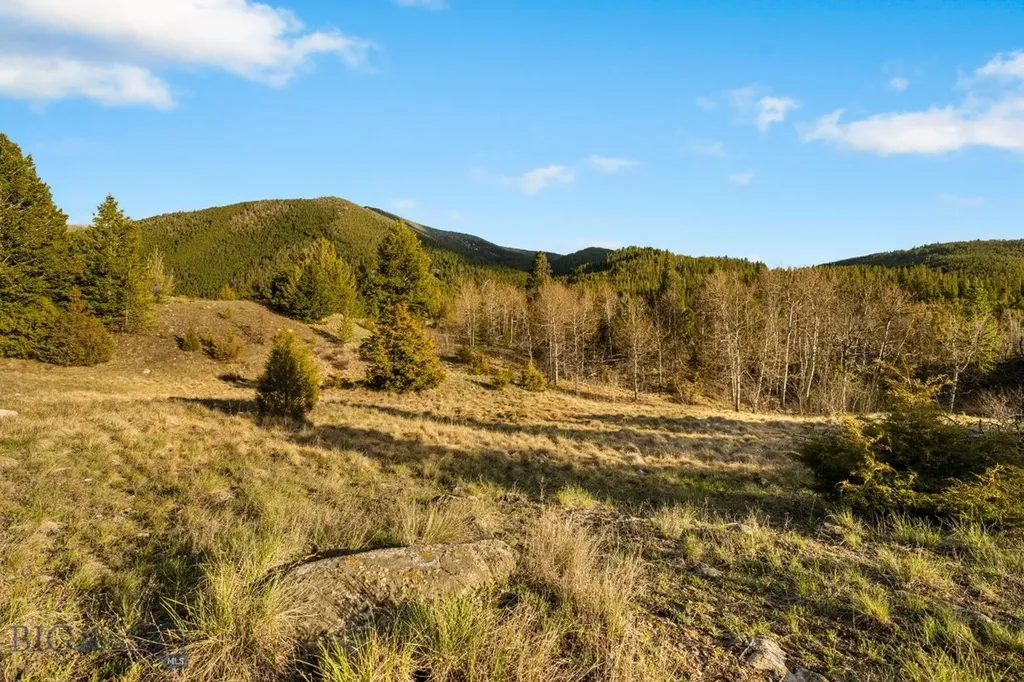 1470 Lime Spur Rd & 44 Two Meadows Drive Anaconda MT 59711