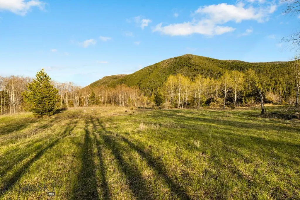 1470 Lime Spur Rd & 44 Two Meadows Drive Anaconda MT 59711