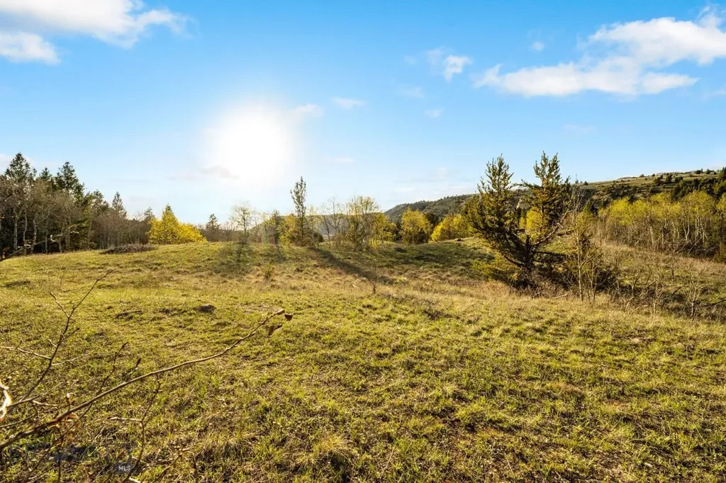 1470 Lime Spur Rd & 44 Two Meadows Drive Anaconda MT 59711