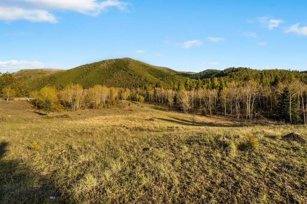 1470 Lime Spur Rd & 44 Two Meadows Drive Anaconda MT 59711