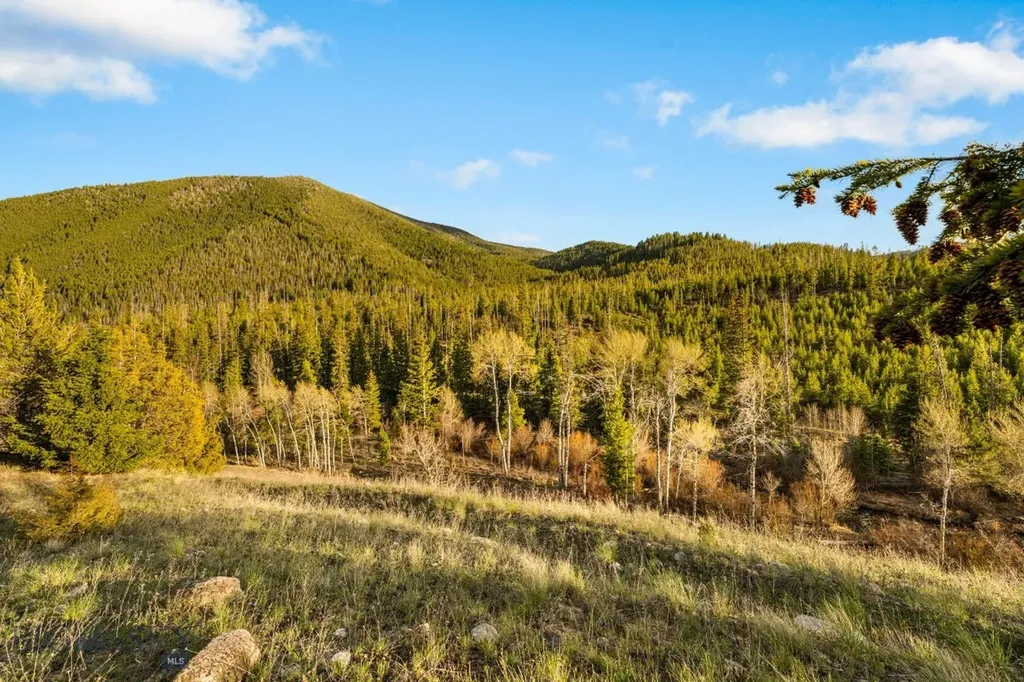 1470 Lime Spur Rd & 44 Two Meadows Drive Anaconda MT 59711