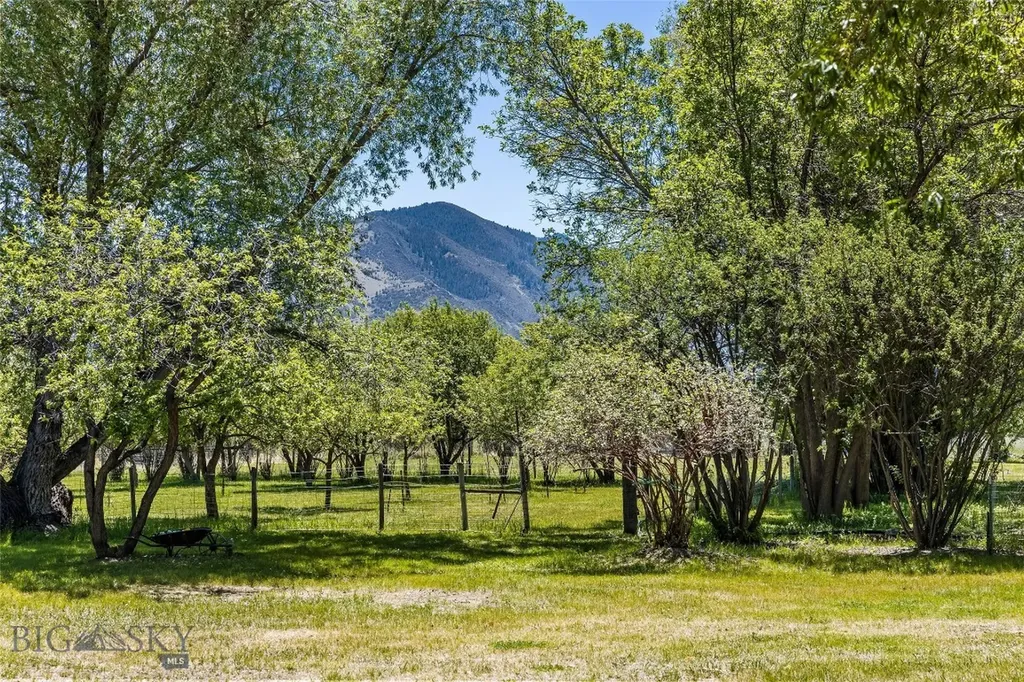 156 Parrot Castle Whitehall MT 59759