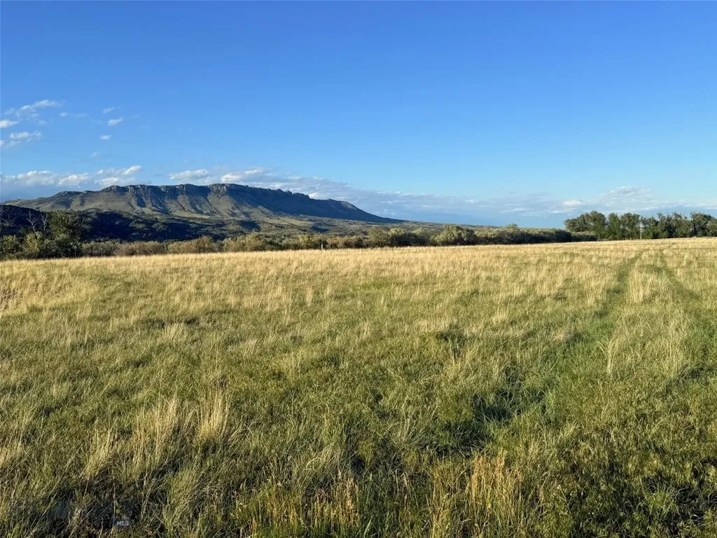 Tbd Fox Run Livingston MT 59047