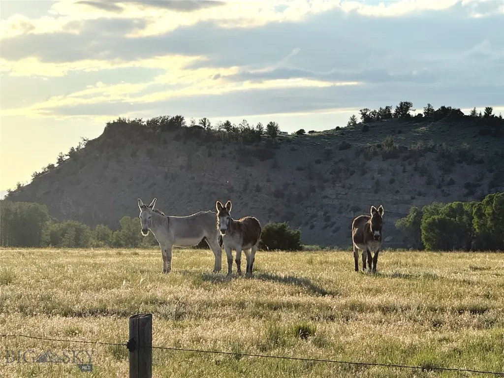 Tbd Fox Run Livingston MT 59047