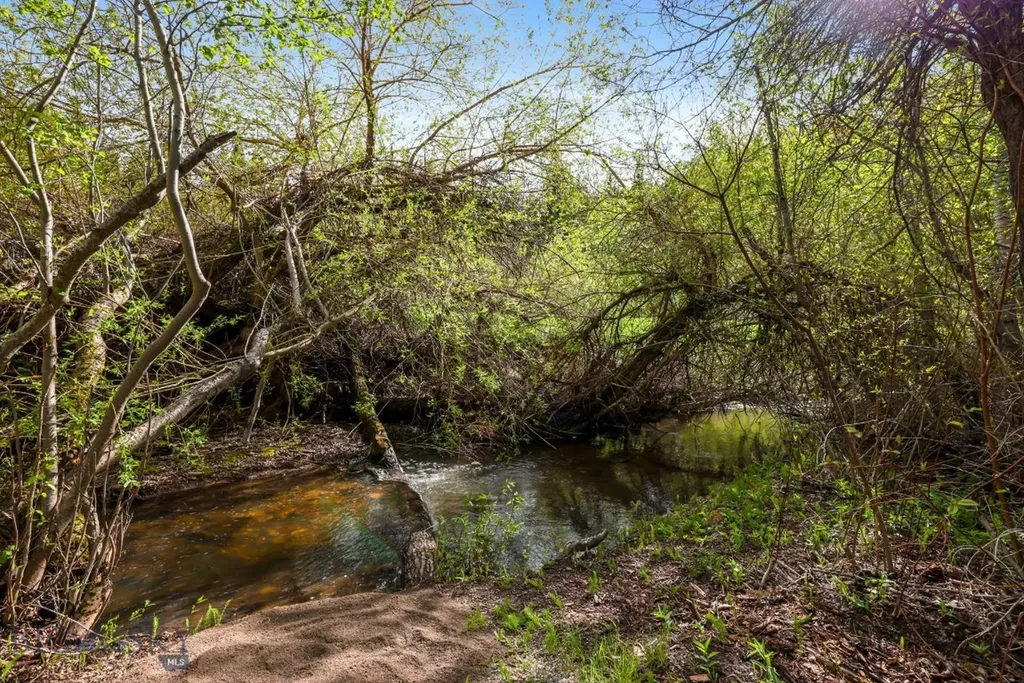3556 Bear Canyon Road Bozeman MT 59715