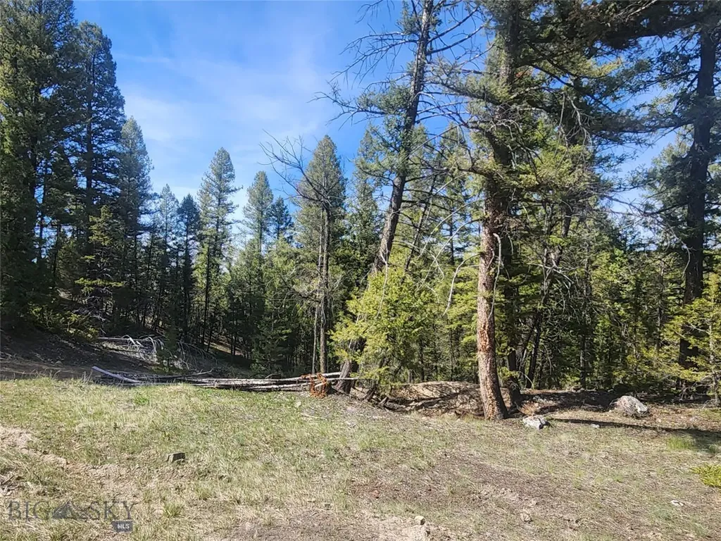 Nhn Boarding House Flats Philipsburg MT 59858