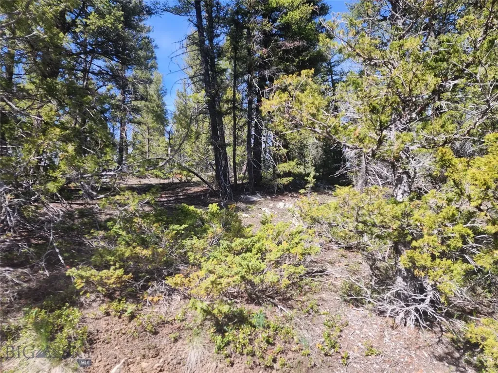 Nhn Boarding House Flats Philipsburg MT 59858
