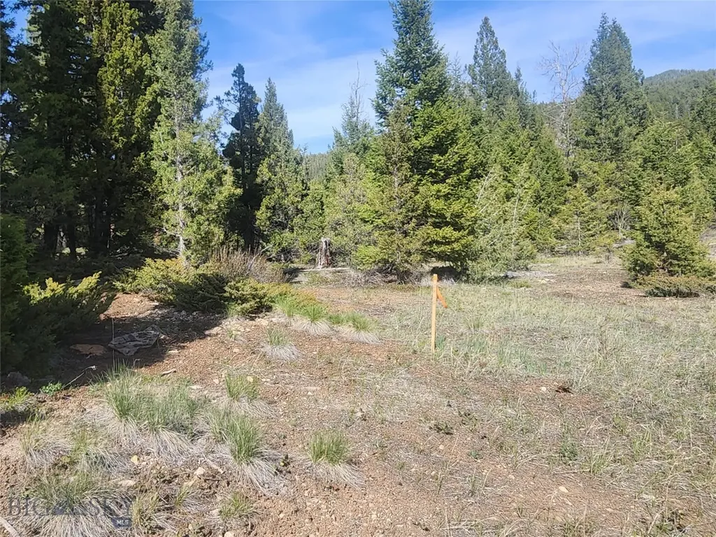 Nhn Boarding House Flats Philipsburg MT 59858