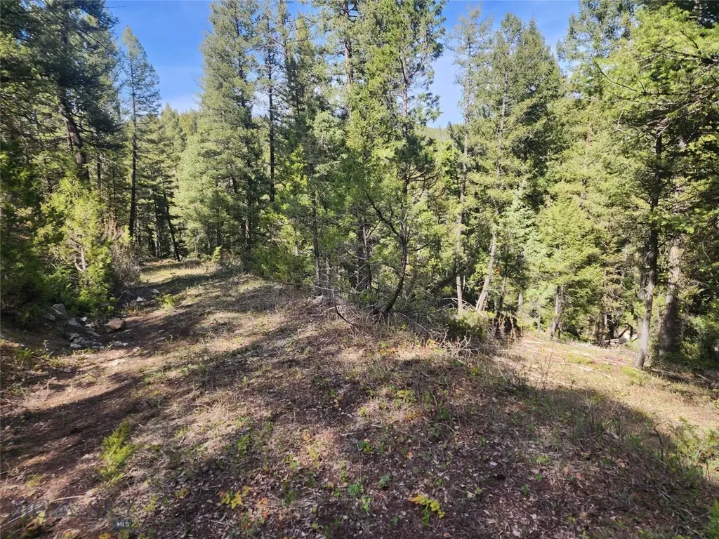 Nhn Boarding House Flats Philipsburg MT 59858