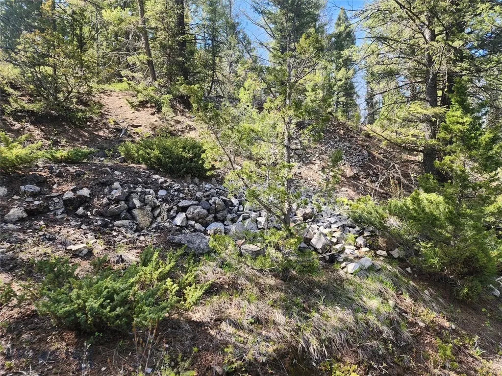 Nhn Boarding House Flats Philipsburg MT 59858