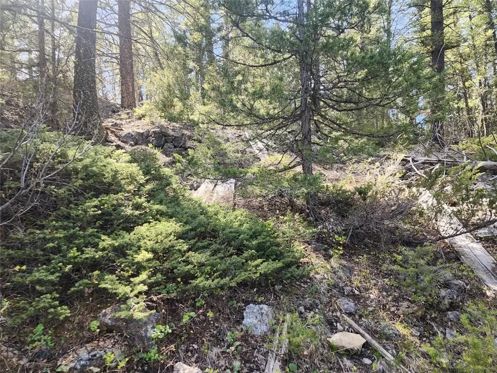 Nhn Boarding House Flats Philipsburg MT 59858
