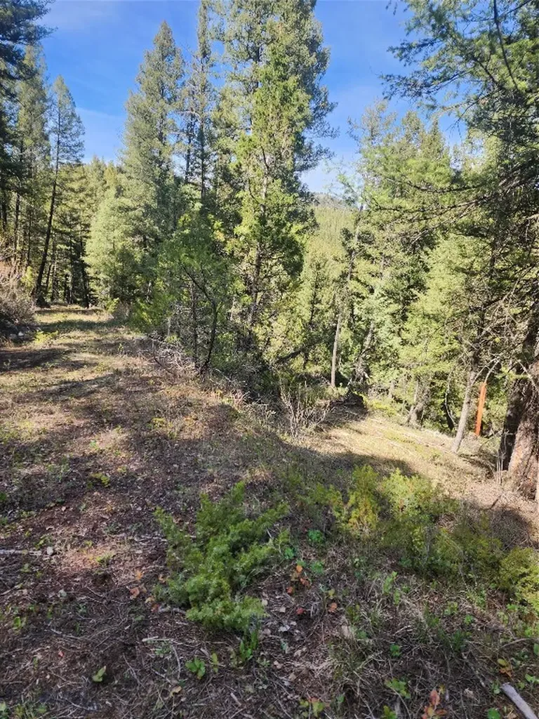Nhn Boarding House Flats Philipsburg MT 59858