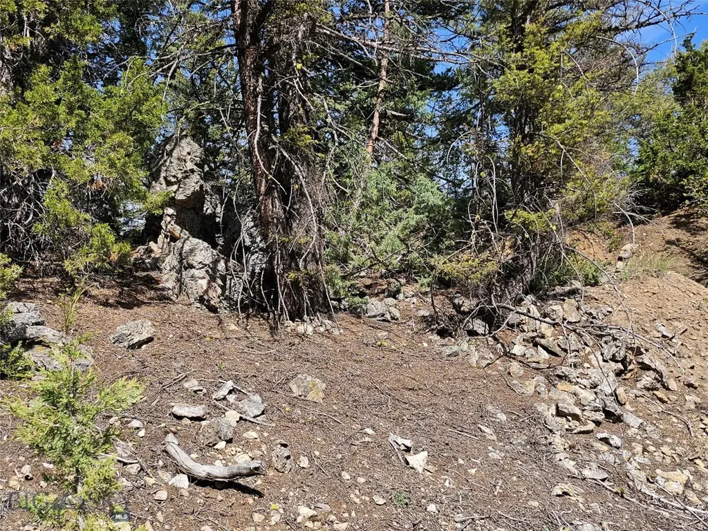 Nhn Boarding House Flats Philipsburg MT 59858