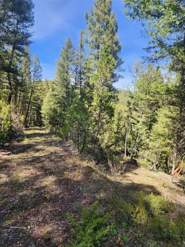Nhn Boarding House Flats Philipsburg MT 59858