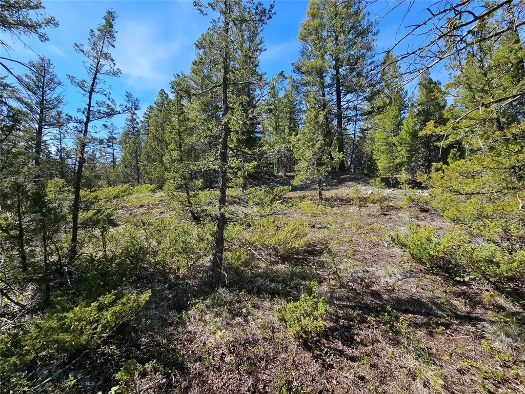 Nhn Boarding House Flats Philipsburg MT 59858