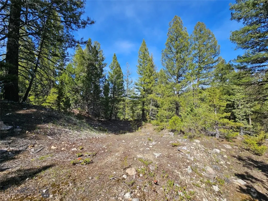 Nhn Boarding House Flats Philipsburg MT 59858