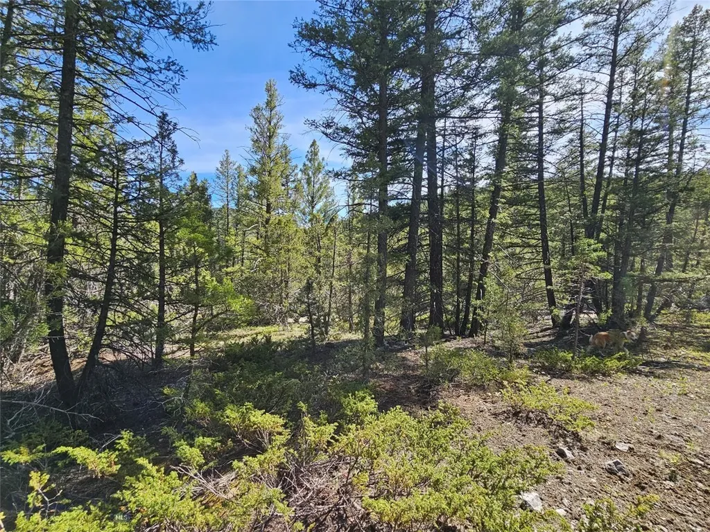 Nhn Boarding House Flats Philipsburg MT 59858