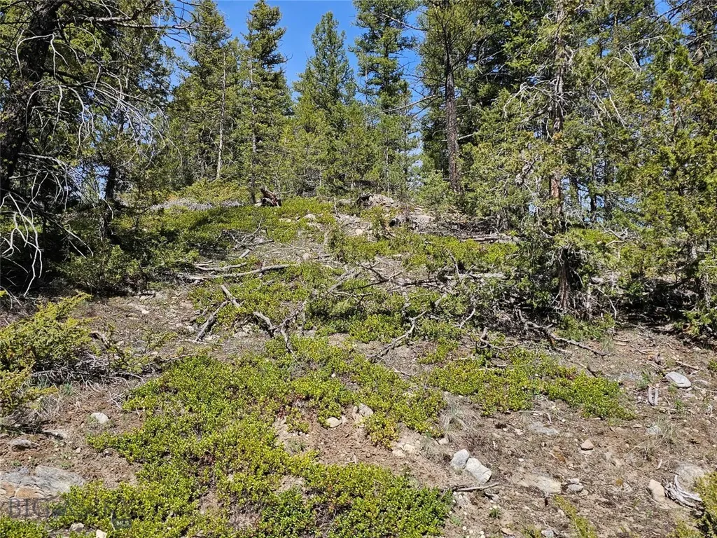 Nhn Boarding House Flats Philipsburg MT 59858