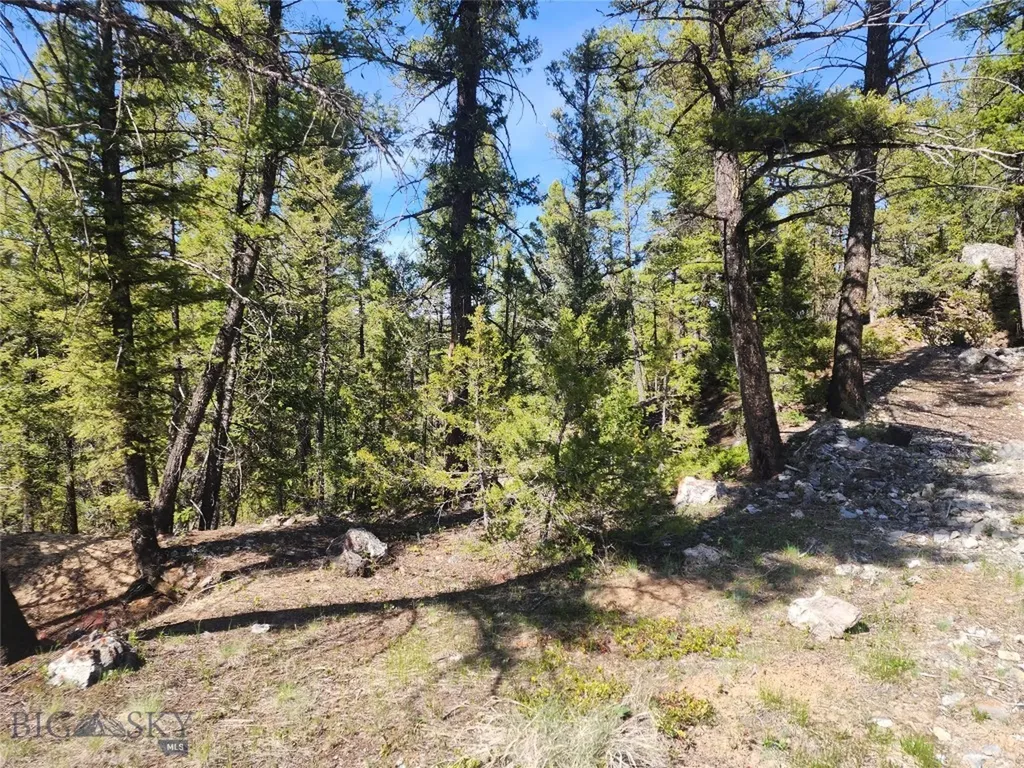 Nhn Boarding House Flats Philipsburg MT 59858