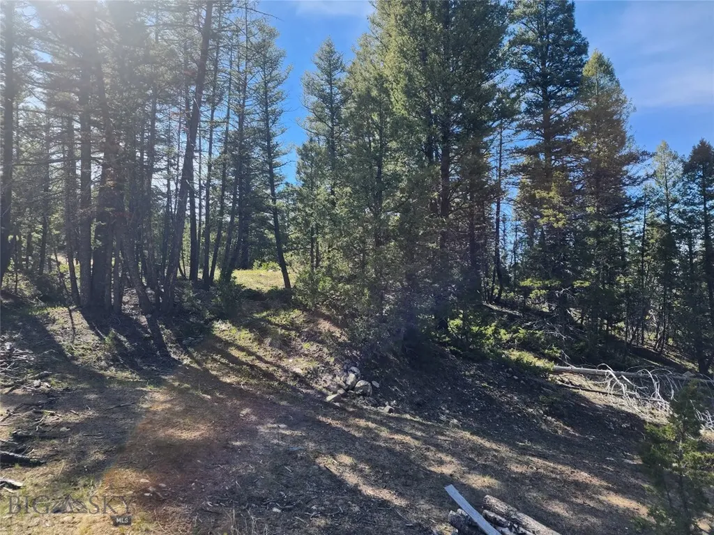 Nhn Boarding House Flats Philipsburg MT 59858