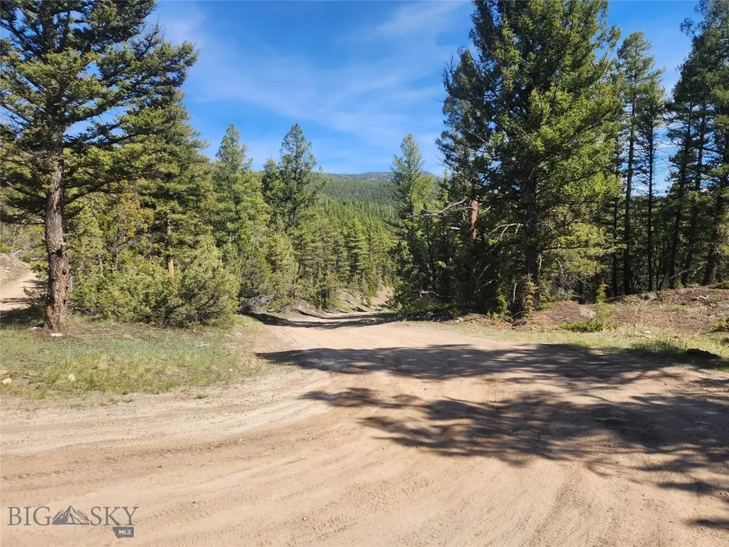 Nhn Boarding House Flats Philipsburg MT 59858