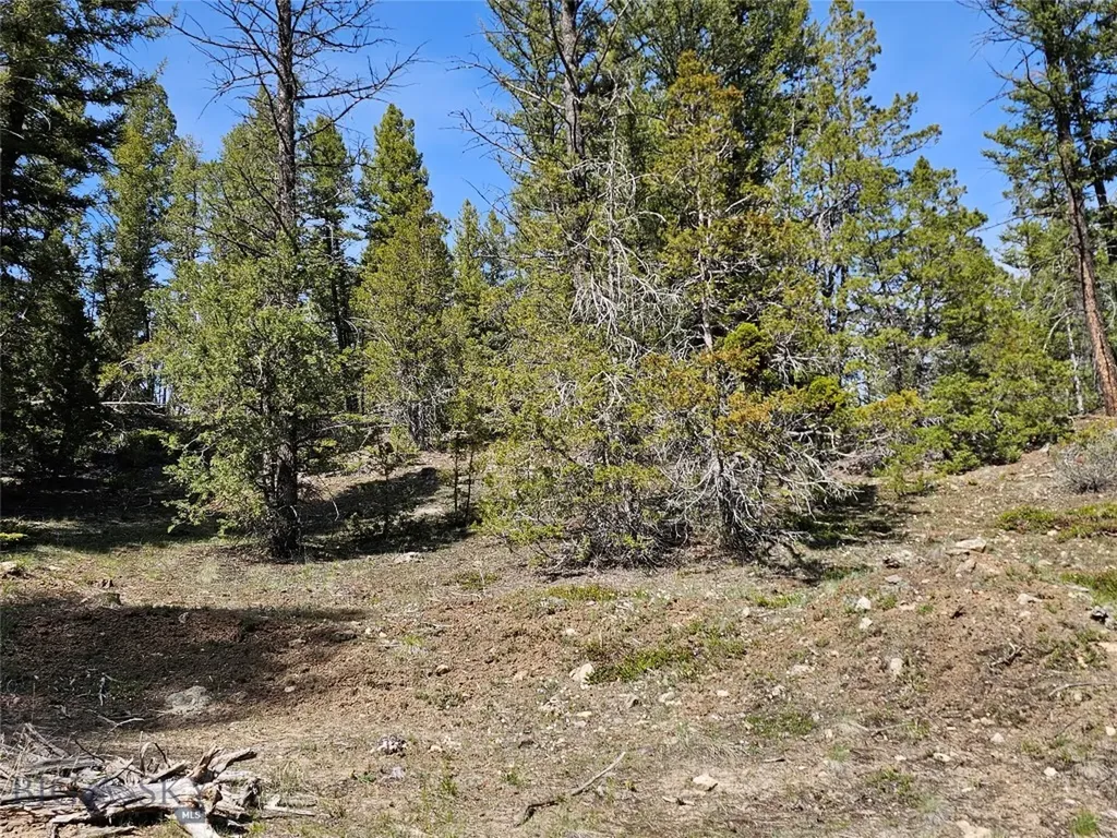 Nhn Boarding House Flats Philipsburg MT 59858