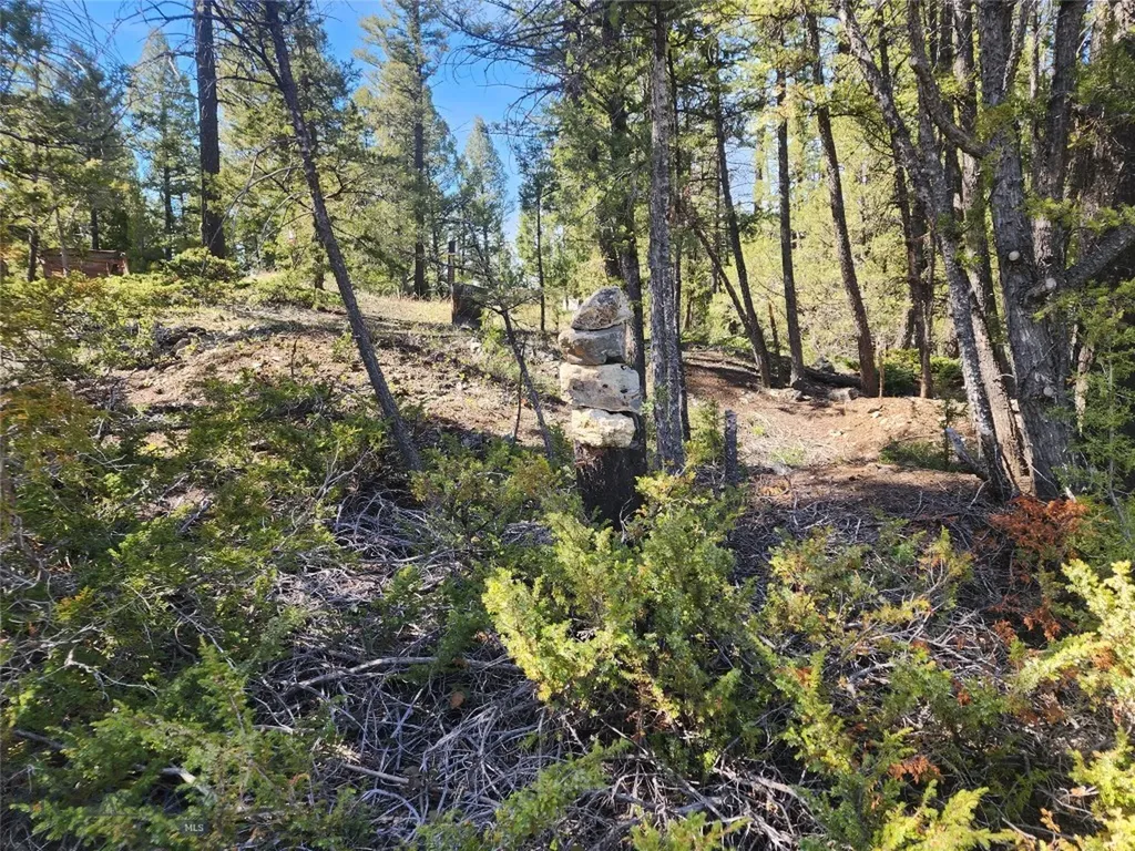 Nhn Boarding House Flats Philipsburg MT 59858