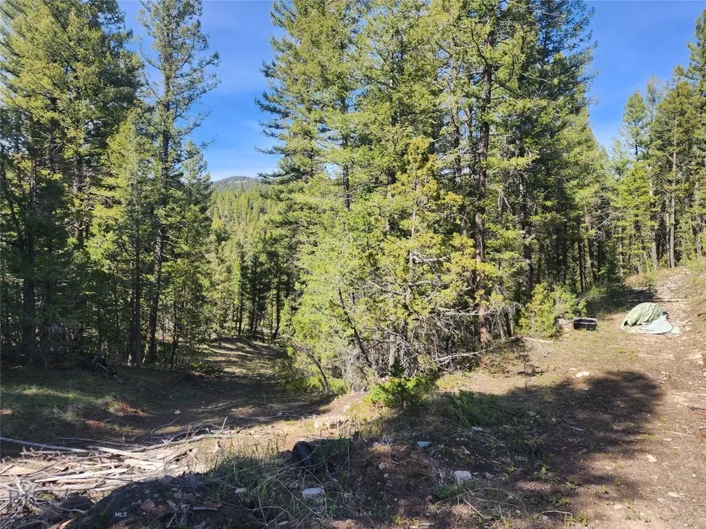 Nhn Boarding House Flats Philipsburg MT 59858