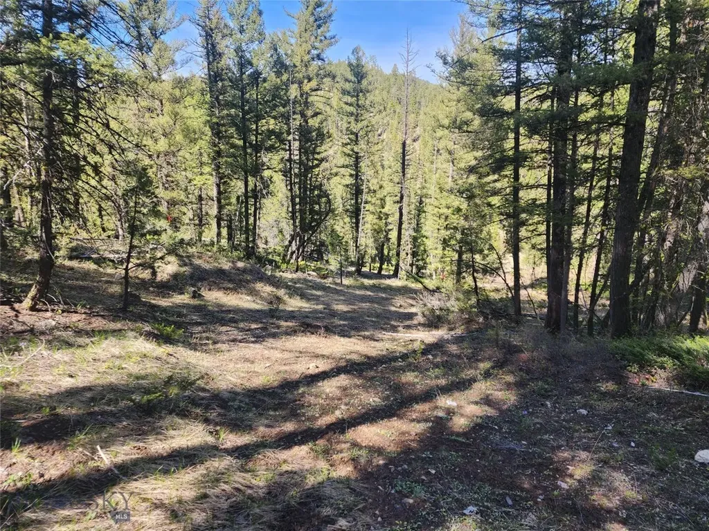 Nhn Boarding House Flats Philipsburg MT 59858