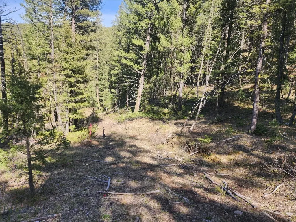 Nhn Boarding House Flats Philipsburg MT 59858