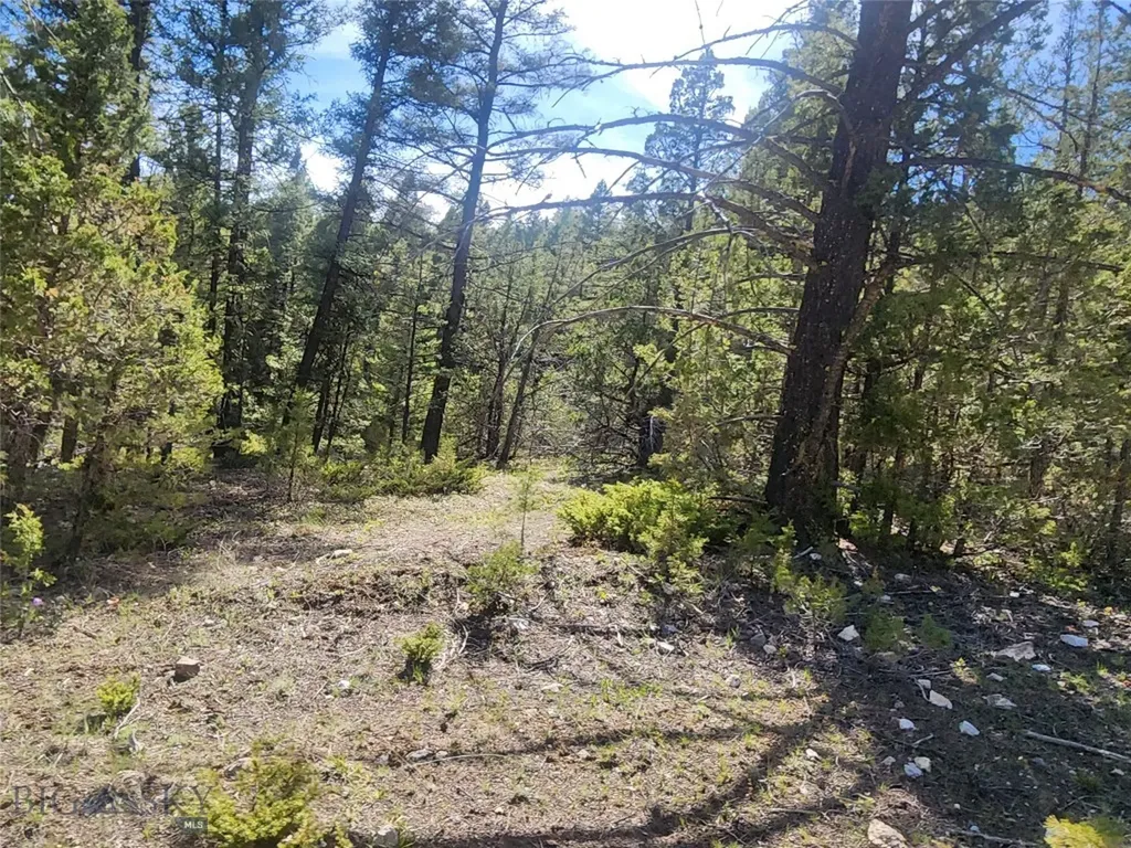 Nhn Boarding House Flats Philipsburg MT 59858