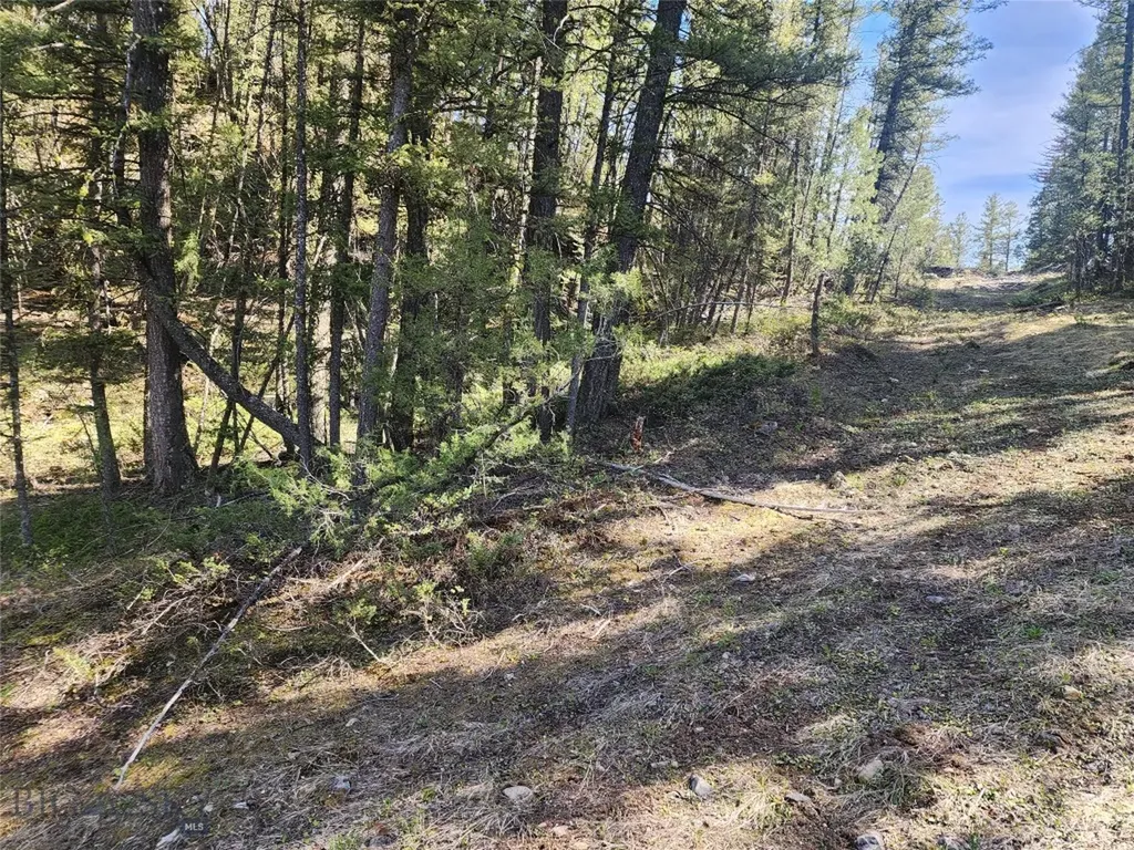 Nhn Boarding House Flats Philipsburg MT 59858