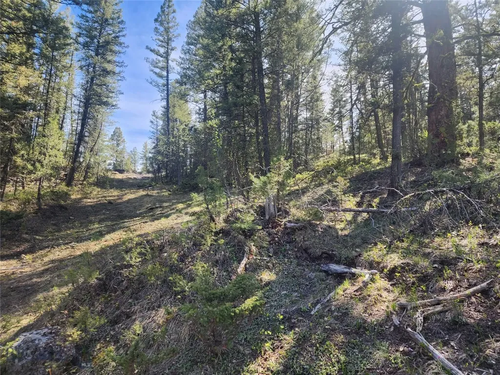 Nhn Boarding House Flats Philipsburg MT 59858