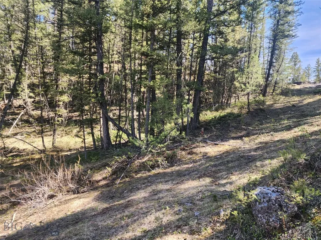 Nhn Boarding House Flats Philipsburg MT 59858