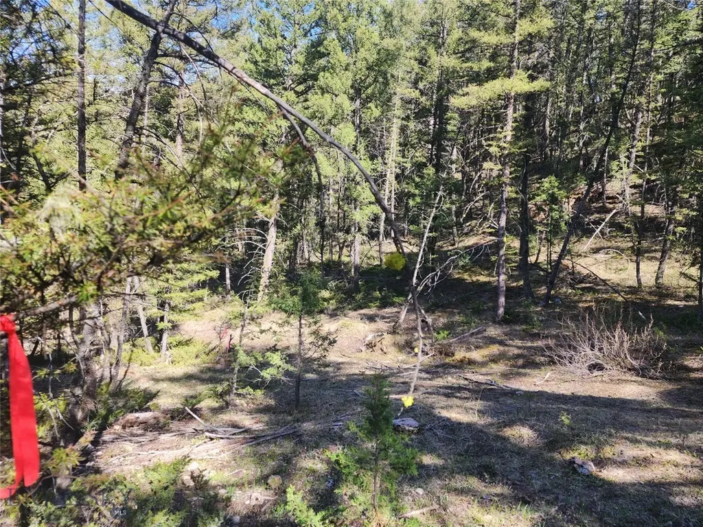 Nhn Boarding House Flats Philipsburg MT 59858