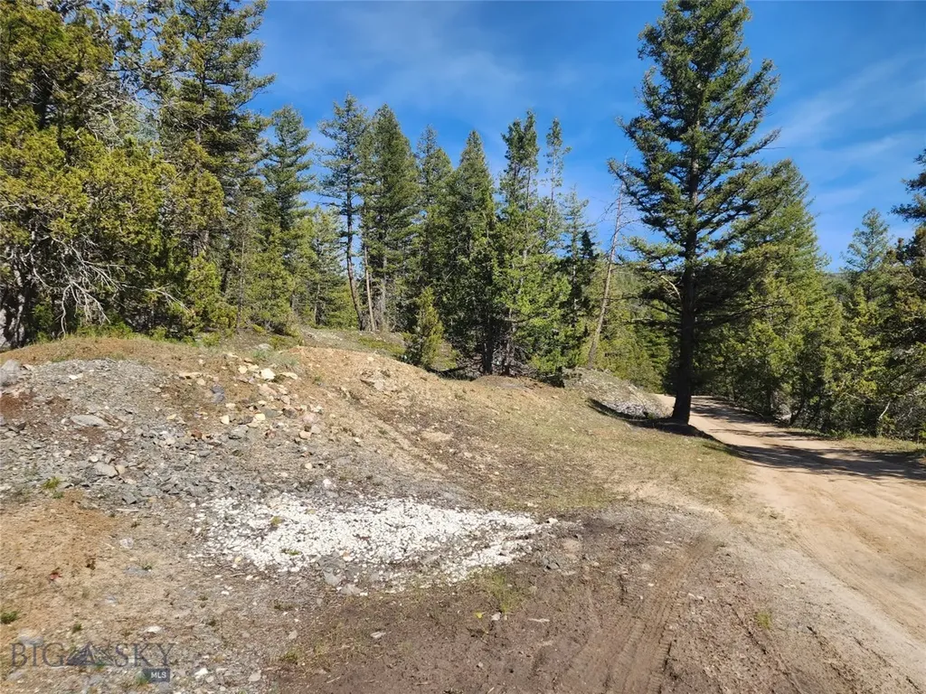 Nhn Boarding House Flats Philipsburg MT 59858