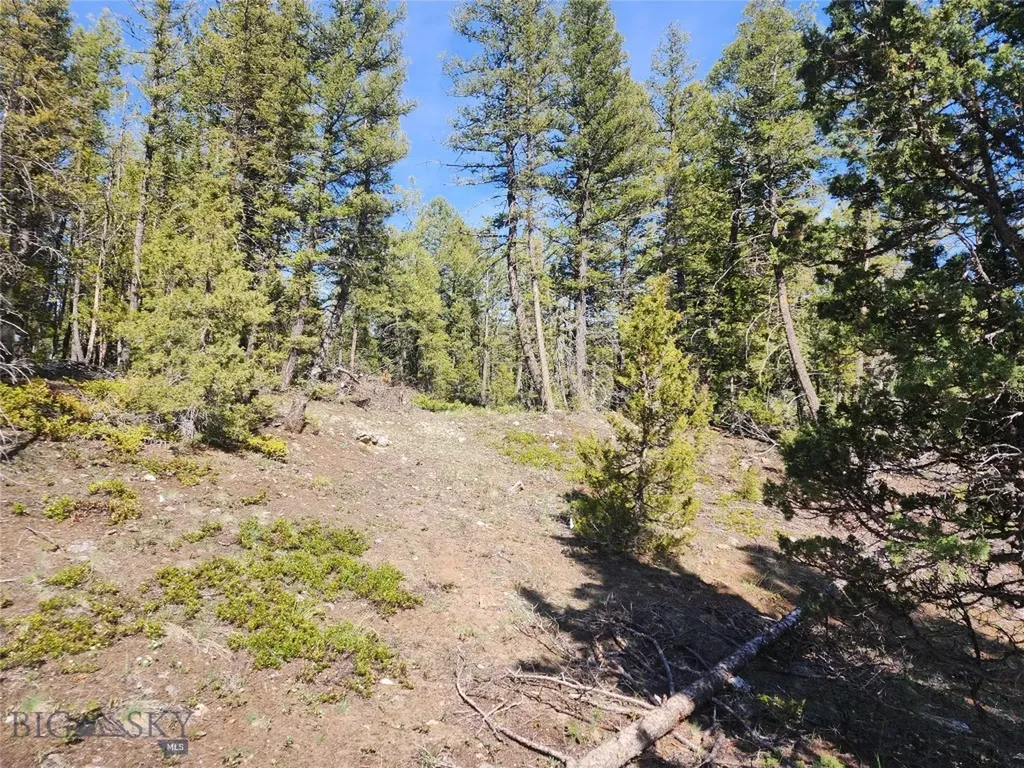 Nhn Boarding House Flats Philipsburg MT 59858