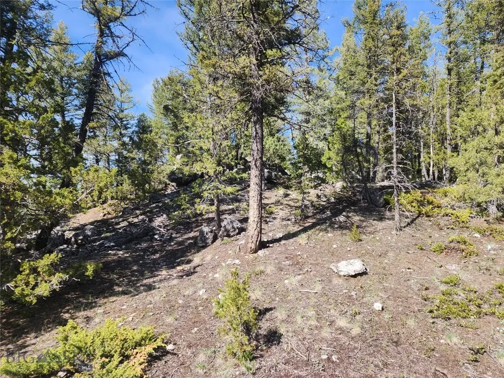 Nhn Boarding House Flats Philipsburg MT 59858