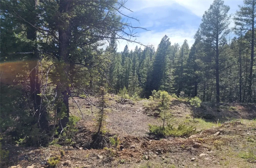 Nhn Boarding House Flats Philipsburg MT 59858