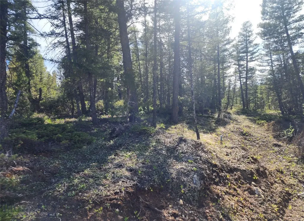 Nhn Boarding House Flats Philipsburg MT 59858