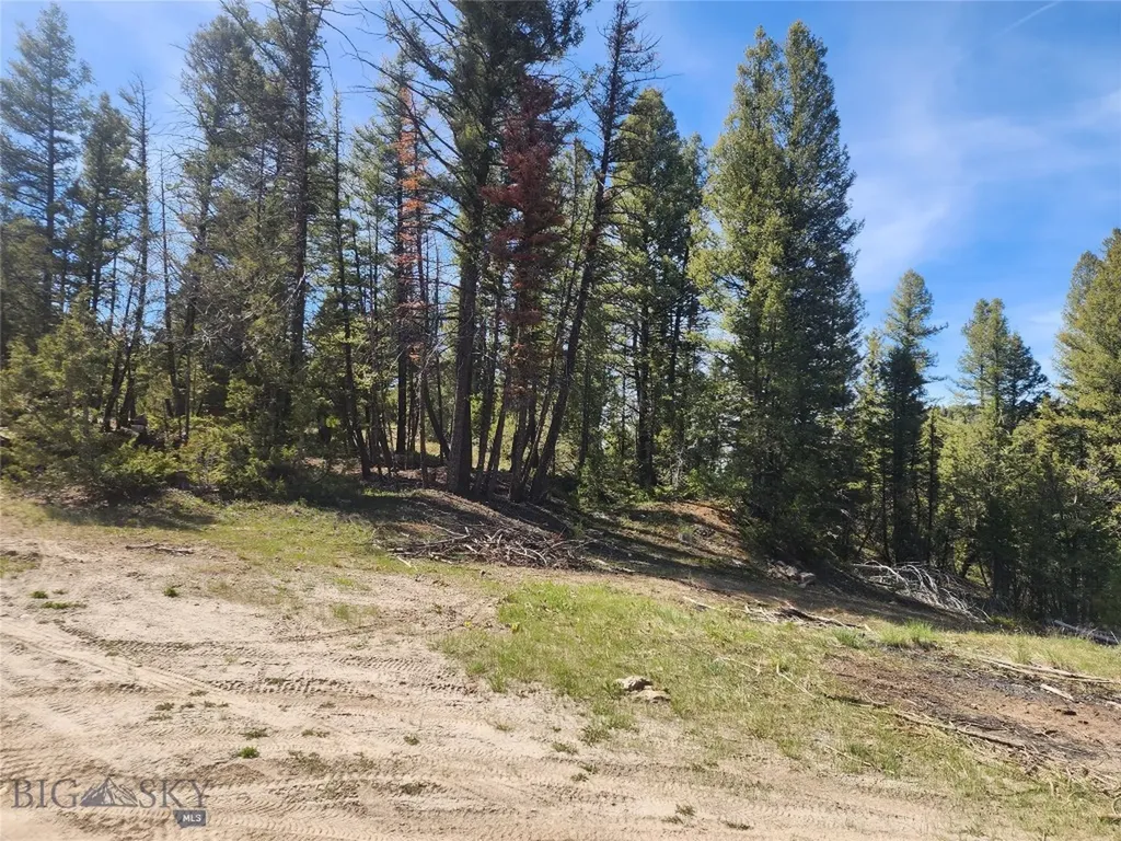 Nhn Boarding House Flats Philipsburg MT 59858