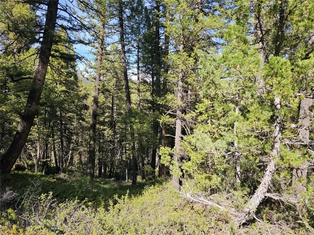 Nhn Boarding House Flats Philipsburg MT 59858