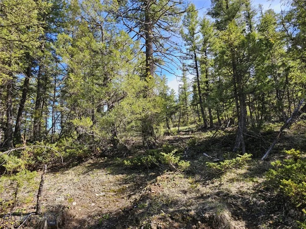 Nhn Boarding House Flats Philipsburg MT 59858