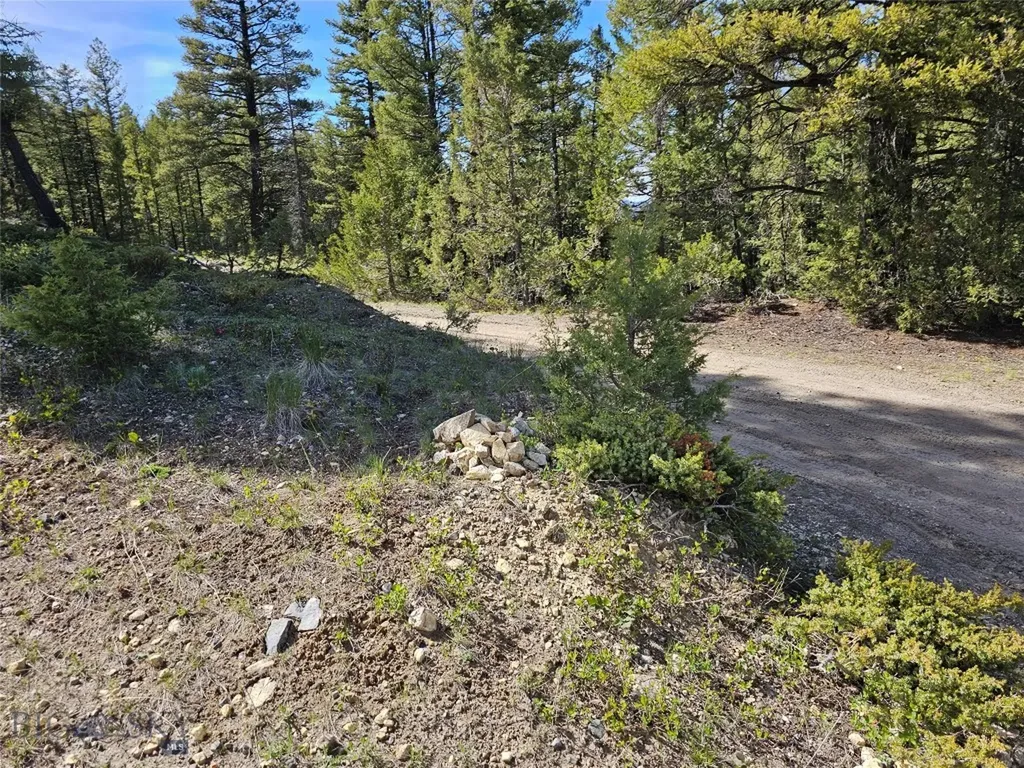 Nhn Boarding House Flats Philipsburg MT 59858