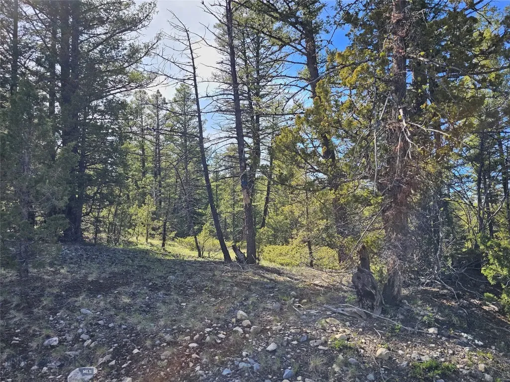 Nhn Boarding House Flats Philipsburg MT 59858