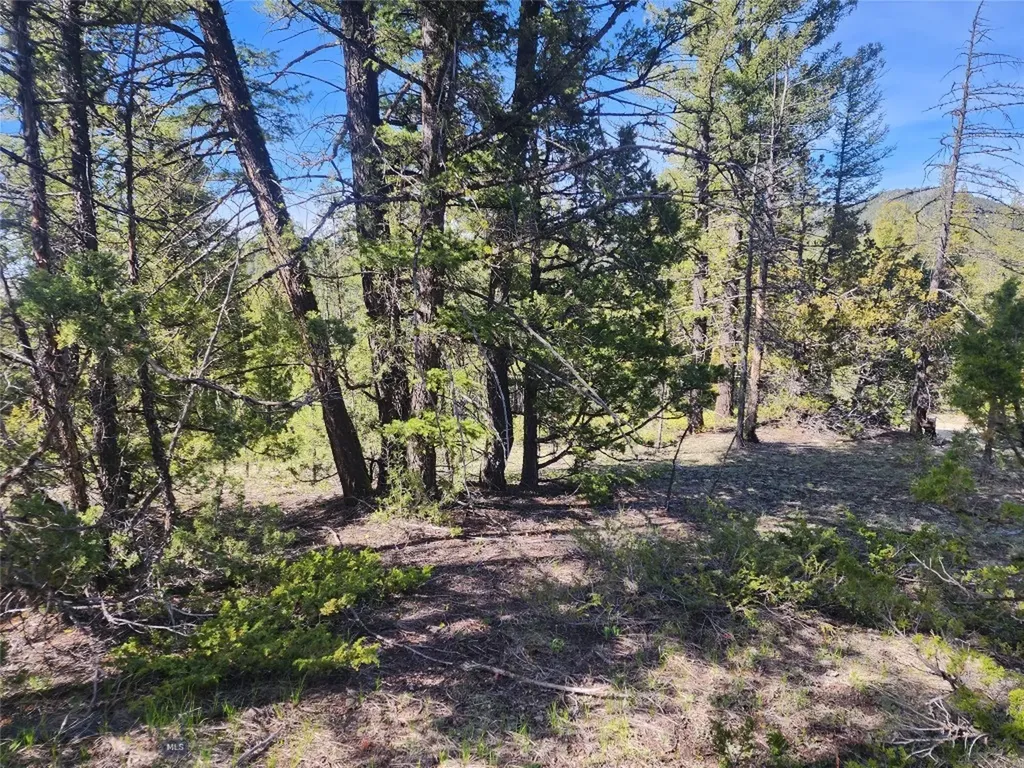 Nhn Boarding House Flats Philipsburg MT 59858