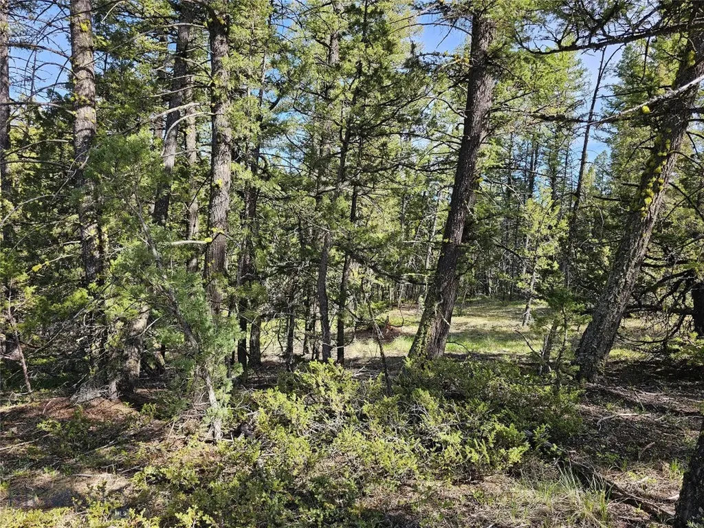 Nhn Boarding House Flats Philipsburg MT 59858